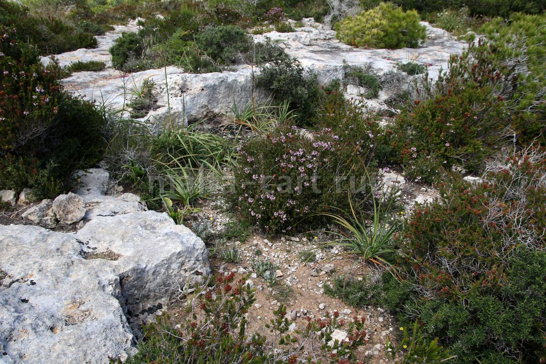 Quarry 1