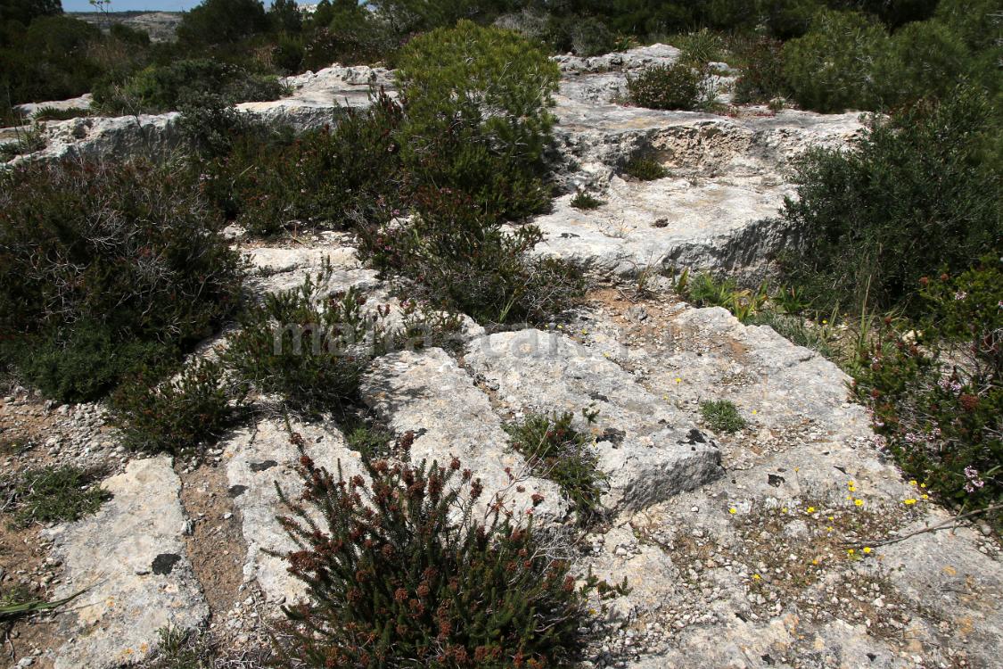 Quarry 2