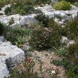 Quarry 1