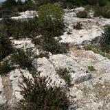 Quarry 2