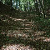 Hohlweg © W. Leskovar