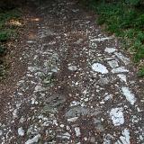 Des Cadolles 6