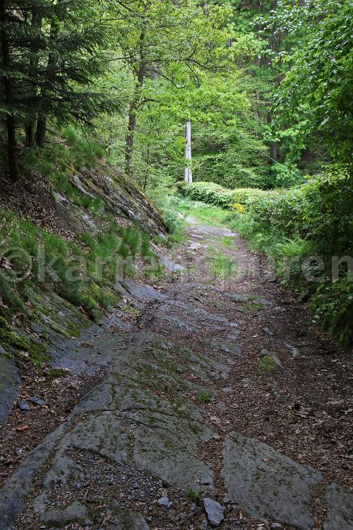 Eicherscheid 3 - 03