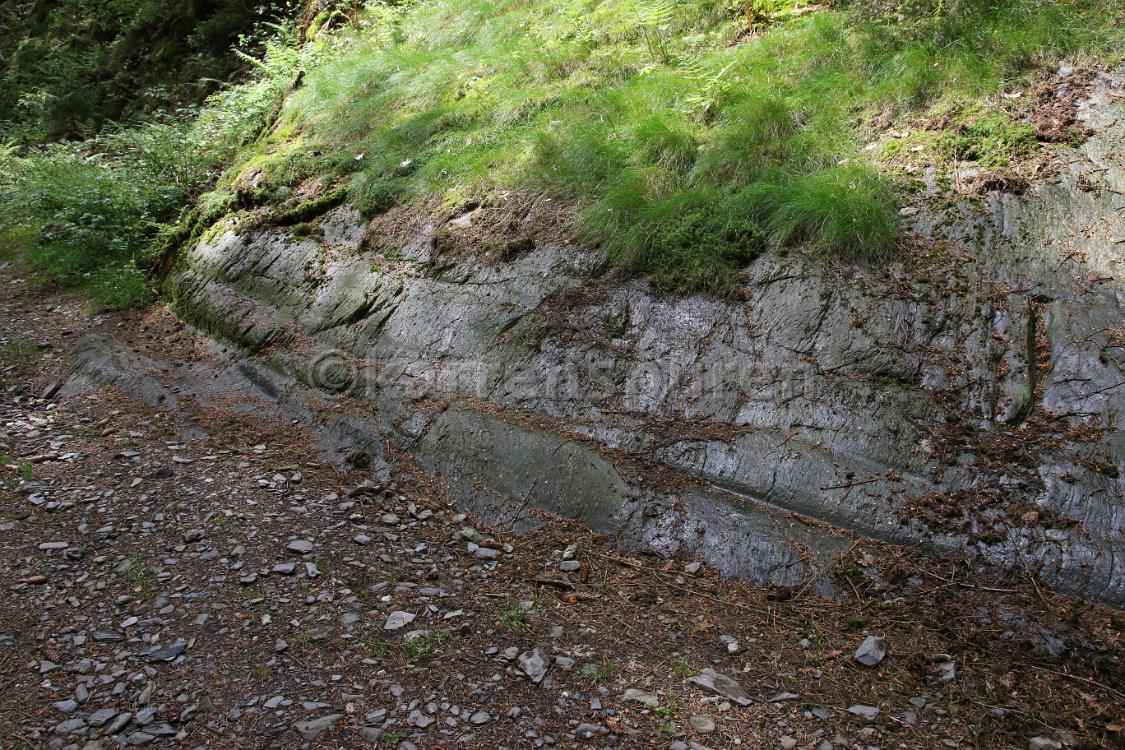 Eicherscheid 7 - 03