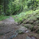 Eicherscheid 7 - 01