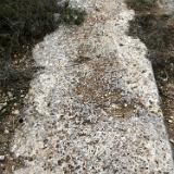 Cala Verde - 02
