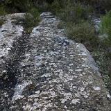 Lamandia 5