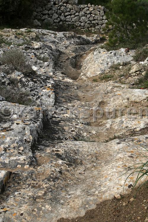 Punta Bellis - 01