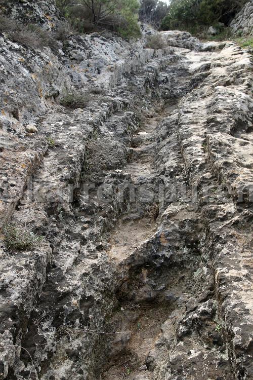 Punta Bellis - 03