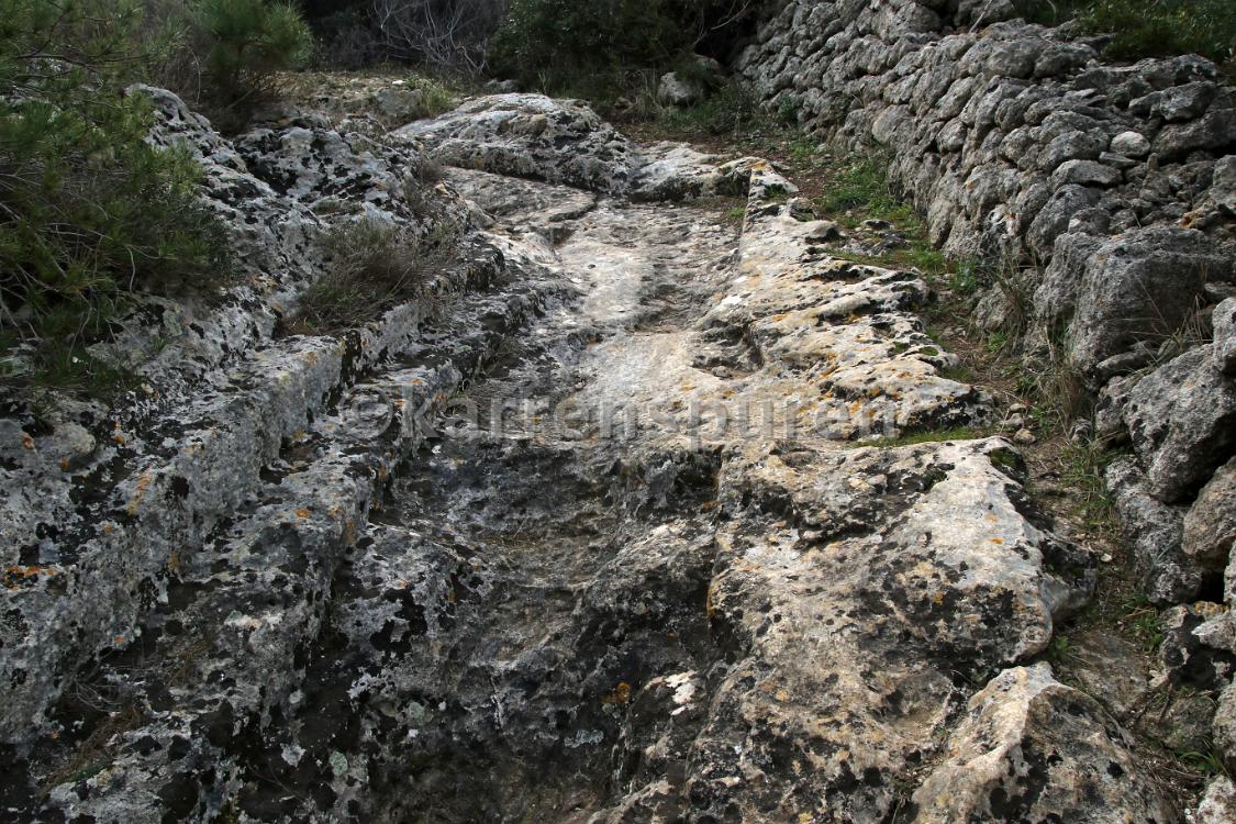 Punta Bellis - 04
