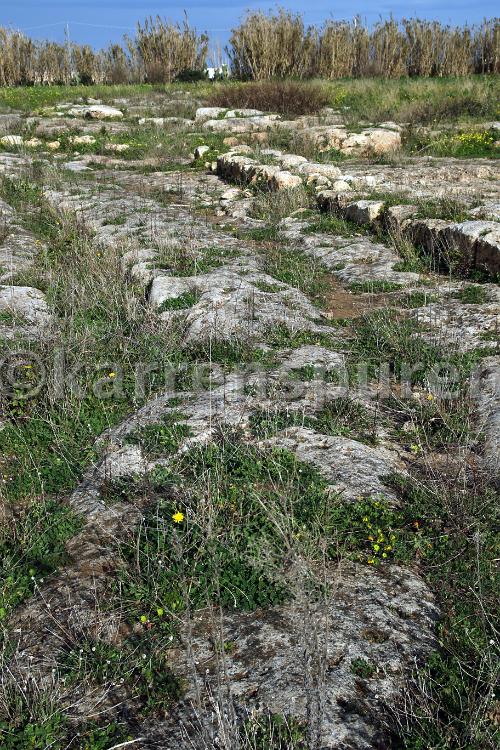 Via Minucia - 04