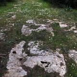 Leucaspide 18a